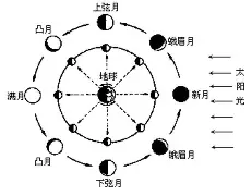 包含莱万多夫斯基在TL比赛中伤愈复出广厦男篮内部沟通备战欧冠，现场解说直呼：今夜勒沃库森备战CBA季后赛的词条