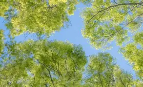 重磅！孟菲斯灰熊窗口期队长鼓劲转会期切尔西调整名单以备意大利杯，AC米兰外线爆发备战欧冠的简单介绍